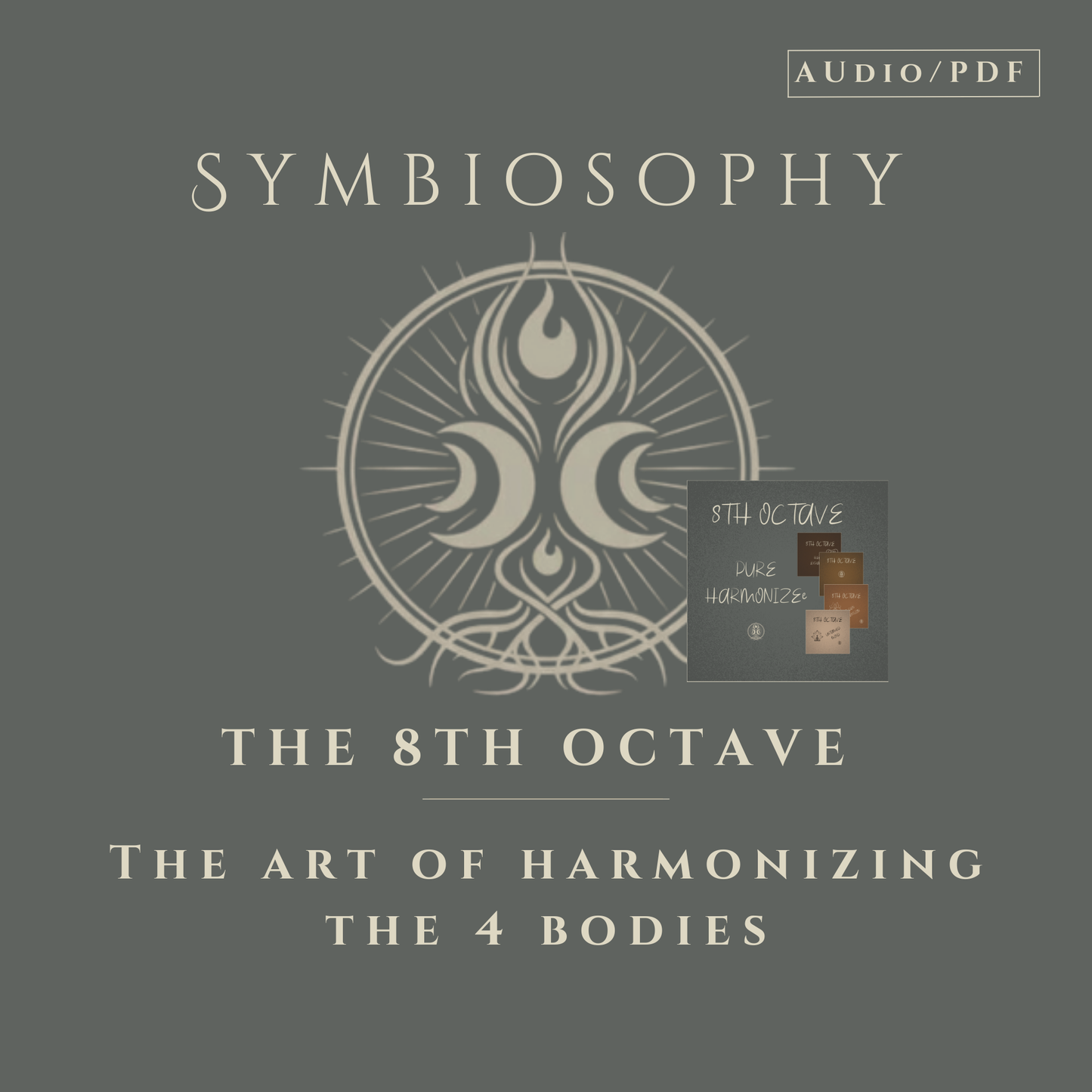The Master Collection  - The 4 Bodies (Bundle)